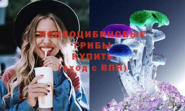 мдпв Верея
