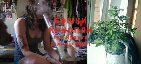 мдпв Верея